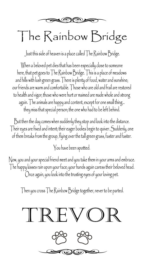 Rainbow Bridge Poem Dog Loss Frame